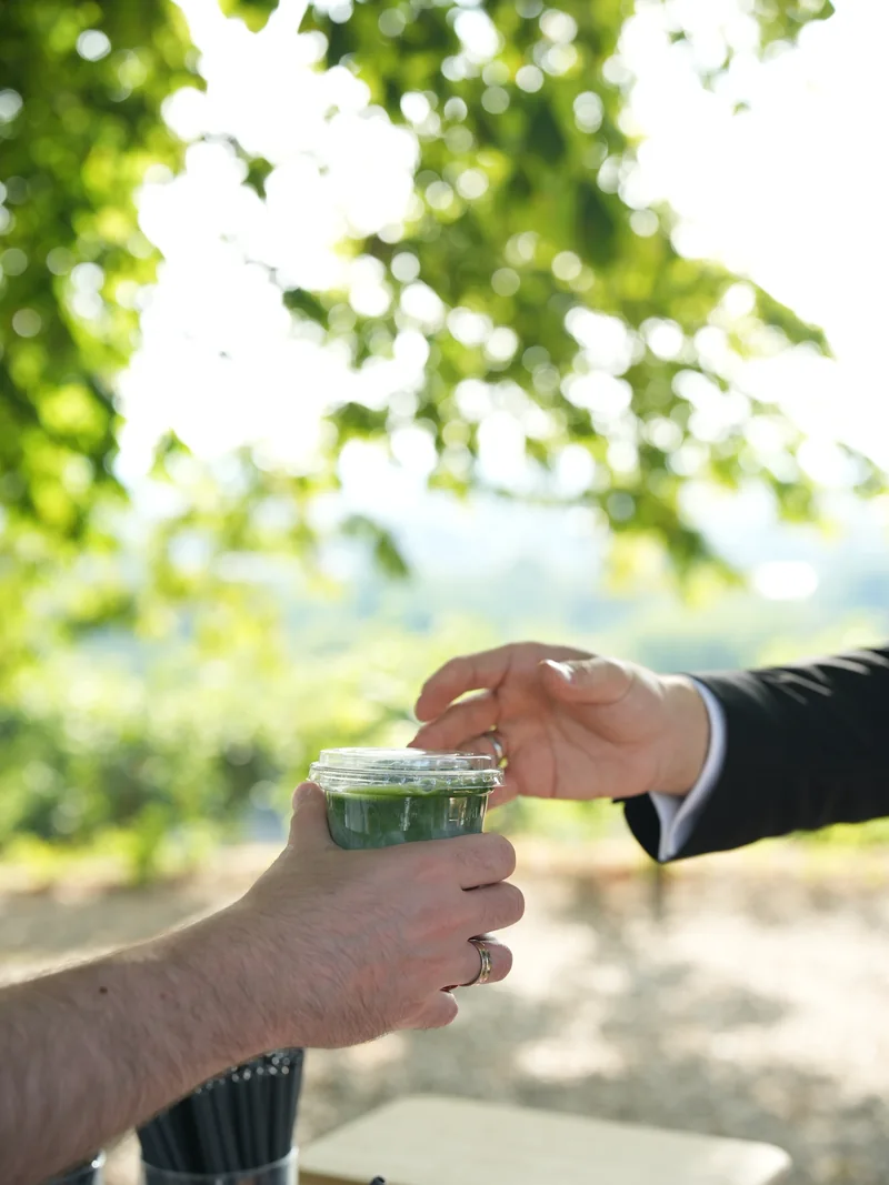 Ein Matcha Drink im Gegenlicht unter Blättern