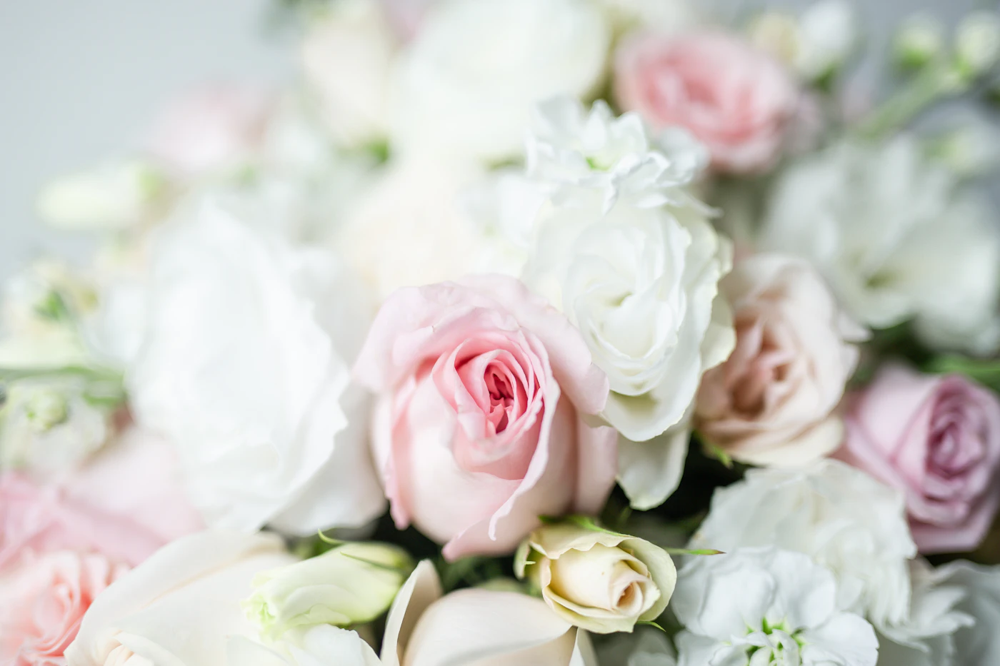 Rosa und weiße Rosen als Hochzeitsdekoration